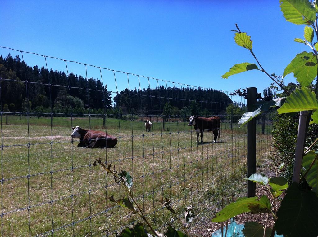 Casa de férias The Meadows Christchurch